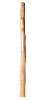 Earl Clements Didgeridoo (EC511)